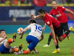 成都蓉城对上海海港在线观看